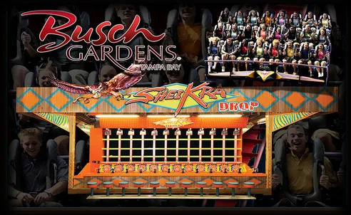 bushgames1_library_42191