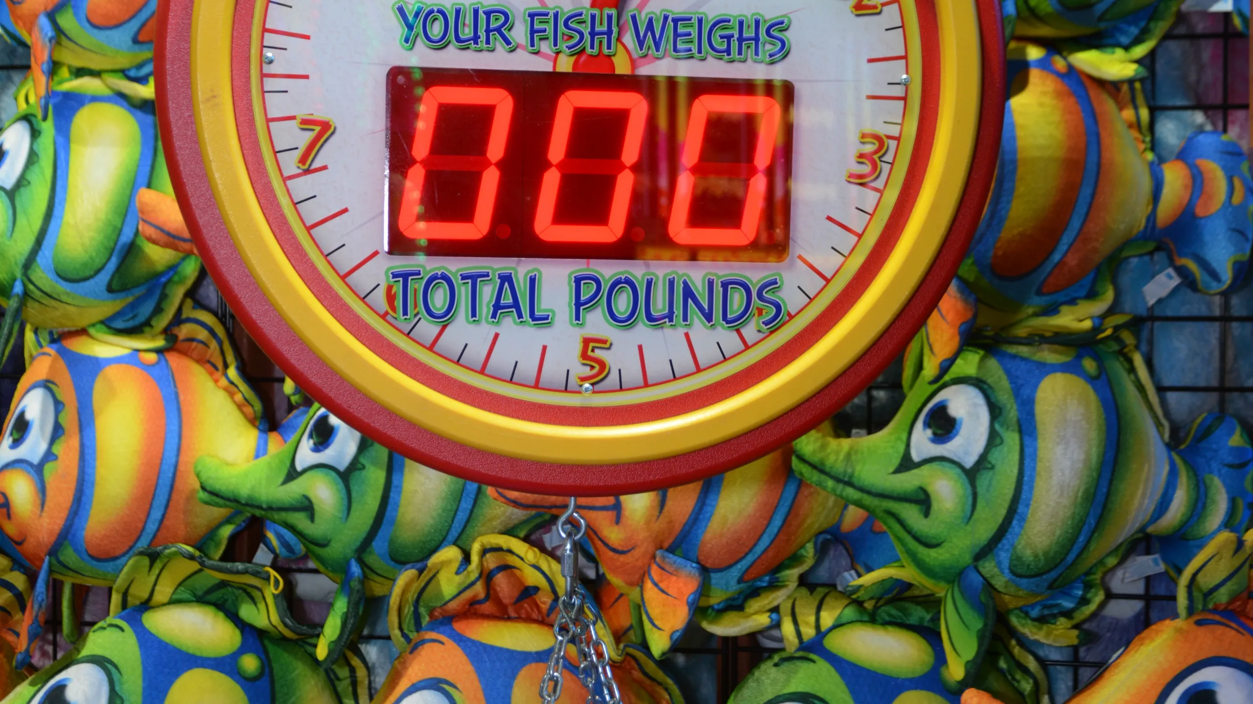 dsc-0906_library_89473