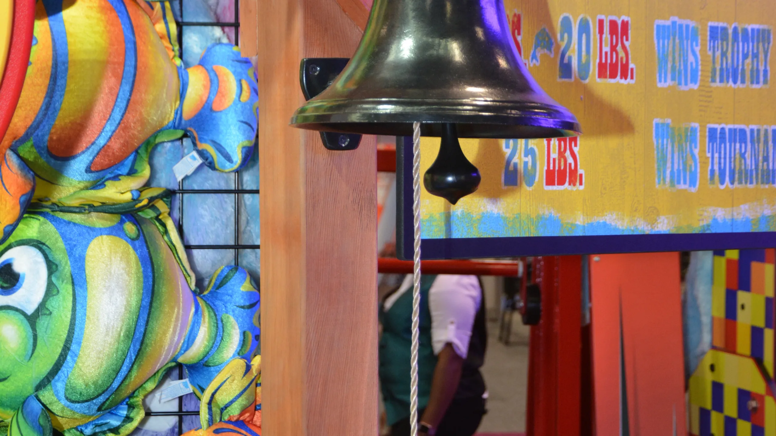 dsc-0907_library_89474